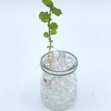 Fairy Fairy, Apothecary: 3 Magical Experiments in 1 AMAZING KIT